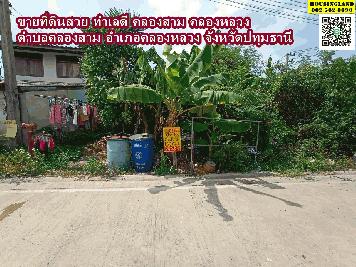 ขายที่ดินสวย ทำเลดี ซอยคลองสาม4/2 คลองหลวง  ตำบลคลองสาม อำเภอคลองหลวง จังหวัดปทุมธานี 